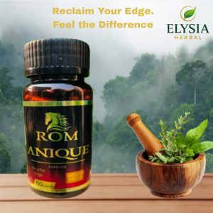 ROM ANIQUE Ayurvedic Capsules – For Strength, Stamina & Vitality (60 Capsules)